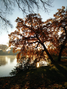 November Potsdam 2015