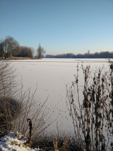 VOB 2016 ein weites Feld